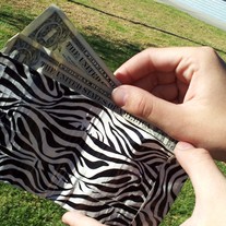 Zebra_medium
