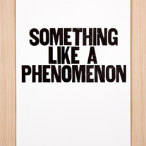 Something Like a Phenomenon