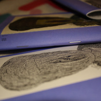 The Avocado Zine #1