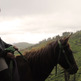 Horse_20and_20rider_small