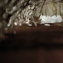 Corridor_medium
