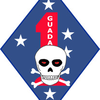 1ST Marine Division (LRRP)