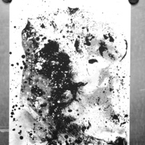 3096101846_b93d4920f7_b_medium