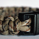 Dc_bk_evoneli_small