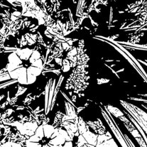 Floral_print_medium