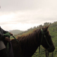 Horse_20and_20rider_small