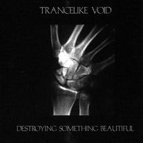 Trancelike Void - Destroying Something Beautiful CD