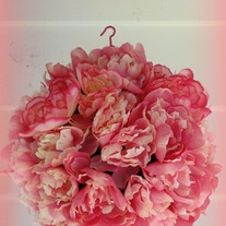 Dsc09971_medium