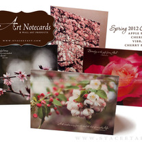 Spring2012collection_medium
