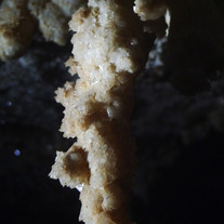 Roppel_2010_medium