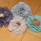 Dscn2567_small