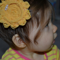 Dsc_1019_medium