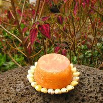Citrus Loofah Soap