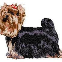 Yorkshire_20terrier_206_20body_medium