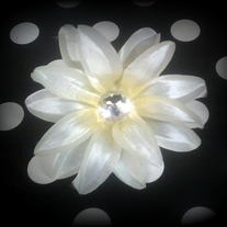 Lily2_medium
