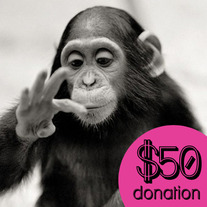 $50 Donation