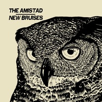 New Bruises / the Amistad import split 7"