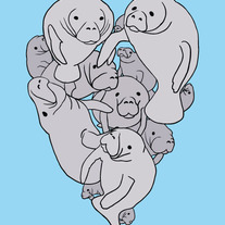 Manatee heart, 5x7 print