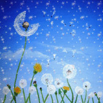 Summer_breeze_wishes