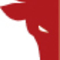 Schl-logo-bull