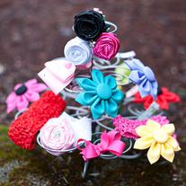 Dsc_4953web