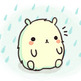 Rainy_bear