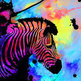 Art-colors-pretty-zebra-favim.com-287697_large