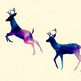 Tumblr_mfuhornb5h1roq0rxo1_500