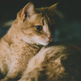 Tumblr_mmp08m5f3j1spf6zco1_400