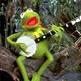 Kermit