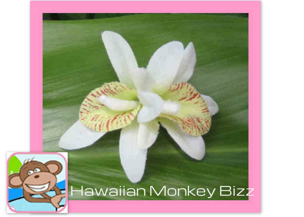Mini Double White Green Orchid Hair Clip Hawaiian Monkey
