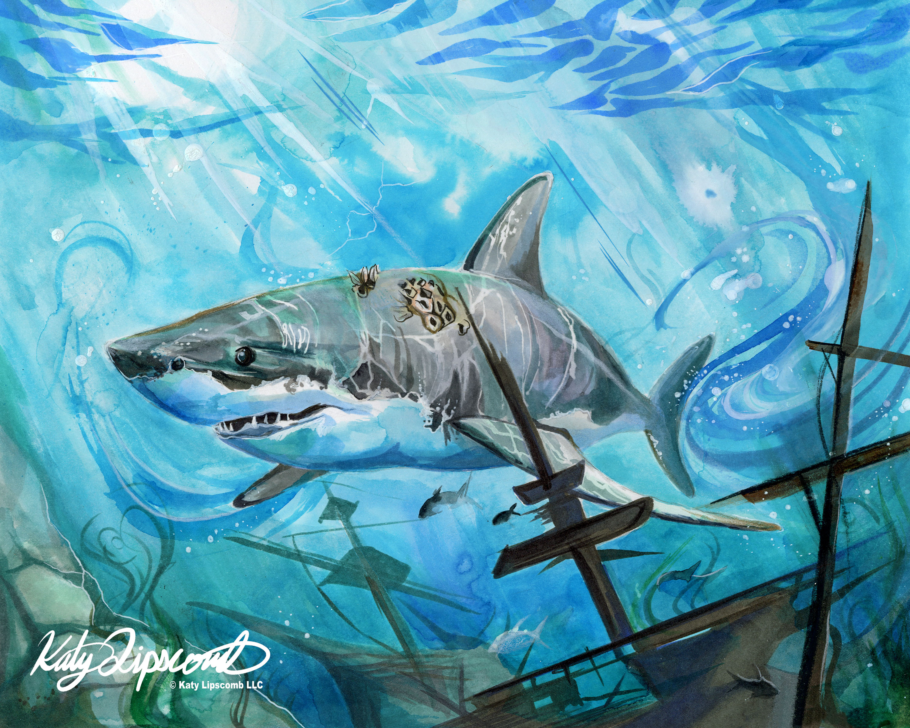 Shark Print Katy Lipscomb Online Store Powered By Storenvy